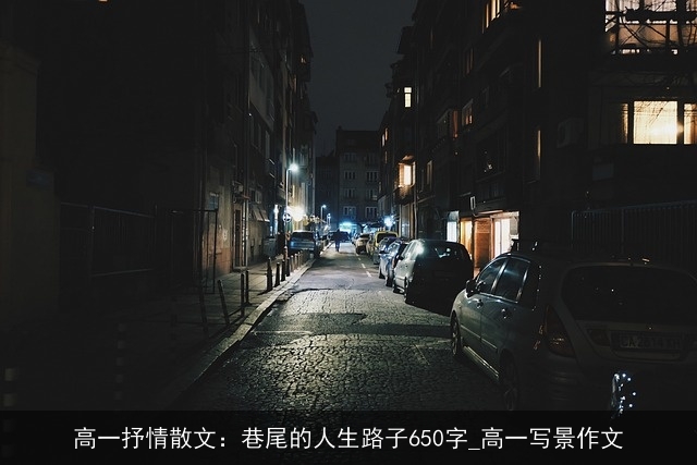 高一抒情散文：巷尾的人生路子650字_高一写景作文