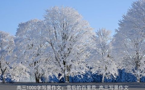 高三1000字写景作文：雪后的百里荒_高三写景作文