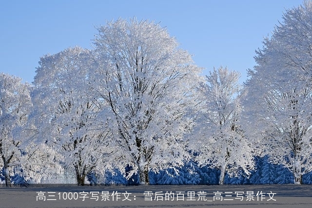 高三1000字写景作文：雪后的百里荒_高三写景作文