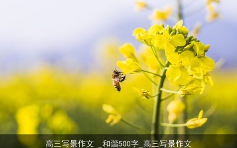 高三写景作文 _和谐500字_高三写景作文