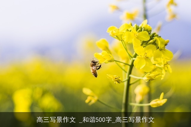 高三写景作文 _和谐500字_高三写景作文