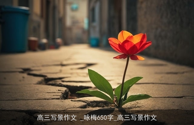 高三写景作文 _咏梅650字_高三写景作文