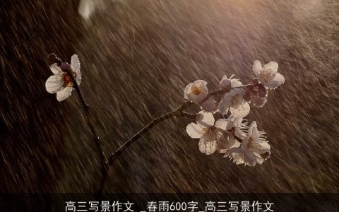 高三写景作文 _春雨600字_高三写景作文