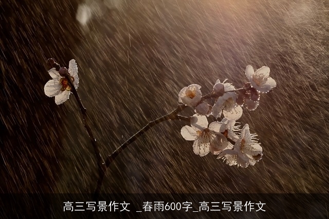 高三写景作文 _春雨600字_高三写景作文