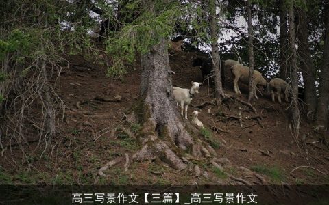 高三写景作文【三篇】_高三写景作文