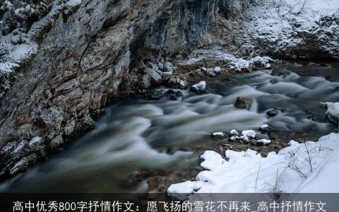 高中优秀800字抒情作文：愿飞扬的雪花不再来_高中抒情作文