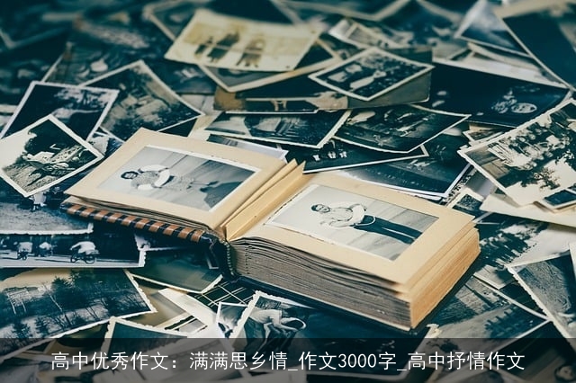 高中优秀作文：满满思乡情_作文3000字_高中抒情作文