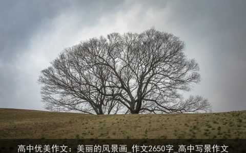 高中优美作文：美丽的风景画_作文2650字_高中写景作文