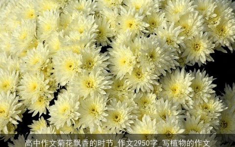 高中作文菊花飘香的时节_作文2950字_写植物的作文