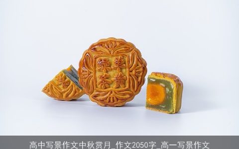 高中写景作文中秋赏月_作文2050字_高一写景作文