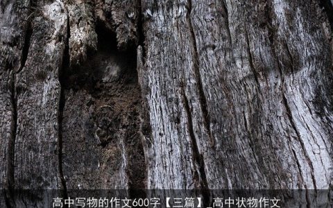 高中写物的作文600字【三篇】_高中状物作文