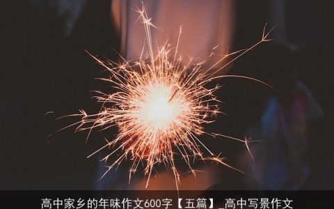 高中家乡的年味作文600字【五篇】_高中写景作文