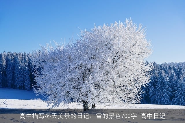 高中描写冬天美景的日记：雪的景色700字_高中日记