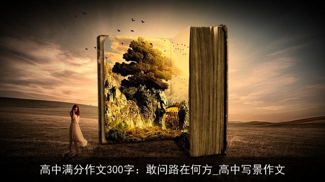 高中满分作文300字：敢问路在何方_高中写景作文