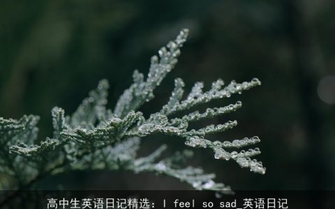 高中生英语日记精选：I feel so sad_英语日记