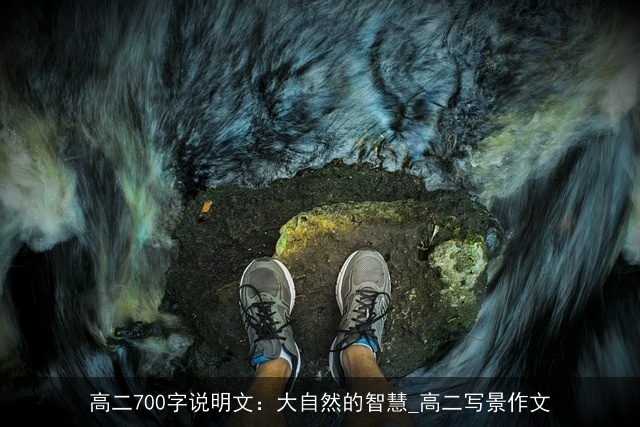 高二700字说明文：大自然的智慧_高二写景作文