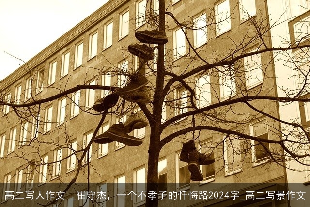 高二写人作文 _崔守杰，一个不孝子的忏悔路2024字_高二写景作文