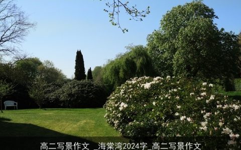 高二写景作文 _海棠湾2024字_高二写景作文