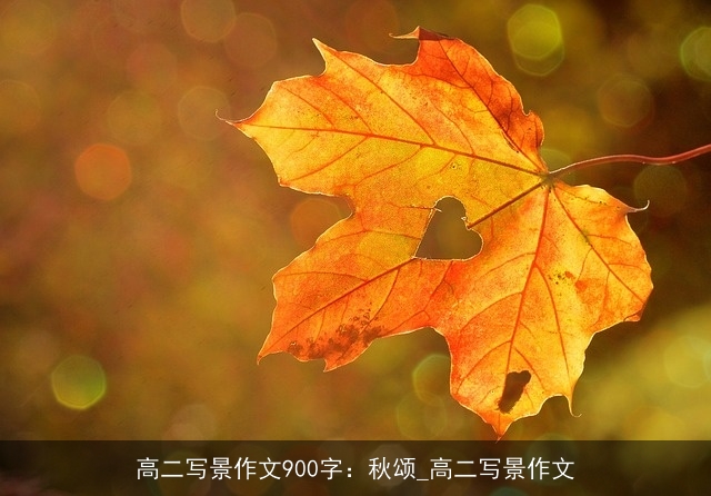 高二写景作文900字：秋颂_高二写景作文