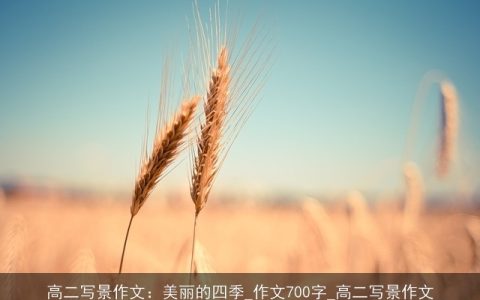 高二写景作文：美丽的四季_作文700字_高二写景作文