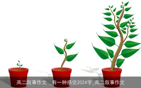 高二叙事作文 _有一种感觉2024字_高二叙事作文