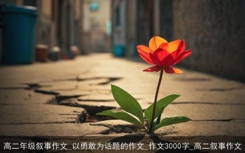 高二年级叙事作文_以勇敢为话题的作文_作文3000字_高二叙事作文