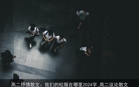 高二抒情散文：我们的校服在哪里2024字_高二议论散文