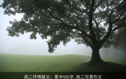 高二抒情散文：雾中550字_高二写景作文