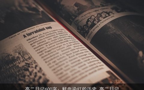 高二日记600字：鲜血染红的历史_高二日记