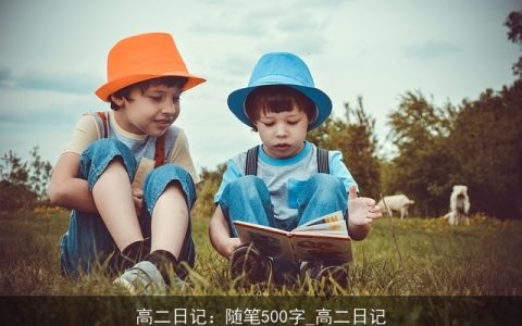 高二日记：随笔500字_高二日记