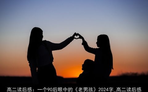 高二读后感：一个90后眼中的《老男孩》2024字_高二读后感