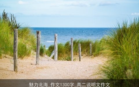 魅力北海_作文1300字_高二说明文作文