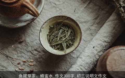 鱼腥草茶、蜂蜜水_作文300字_初三说明文作文