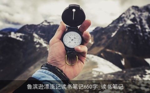 鲁滨逊漂流记读书笔记650字_读书笔记