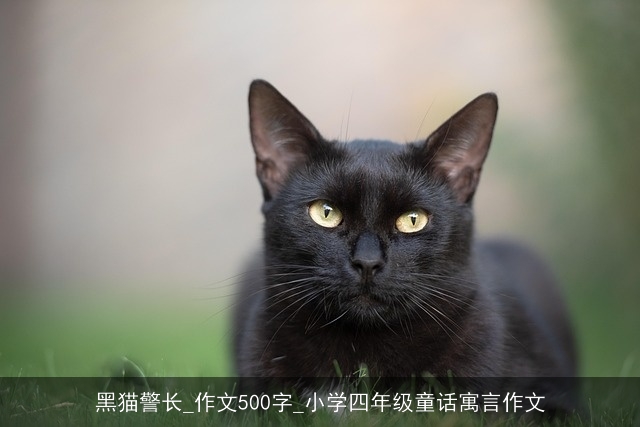 黑猫警长_作文500字_小学四年级童话寓言作文