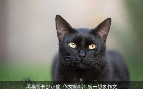 黑猫警长抓小偷_作文350字_初一想象作文