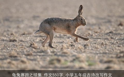 龟兔赛跑之续集_作文550字_小学五年级古诗改写作文