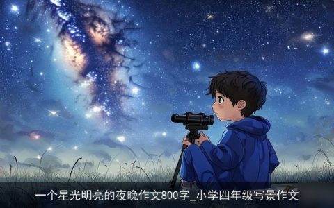 一个星光明亮的夜晚作文800字_小学四年级写景作文