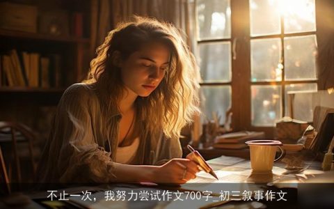 不止一次，我努力尝试作文700字_初三叙事作文