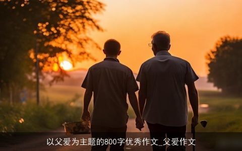 以父爱为主题的800字优秀作文_父爱作文