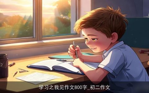 学习之我见作文800字_初二作文