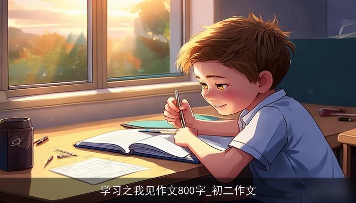 学习之我见作文800字_初二作文