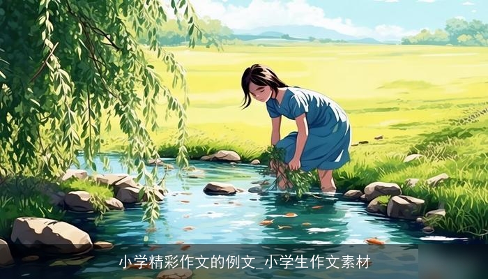 小学精彩作文的例文_小学生作文素材