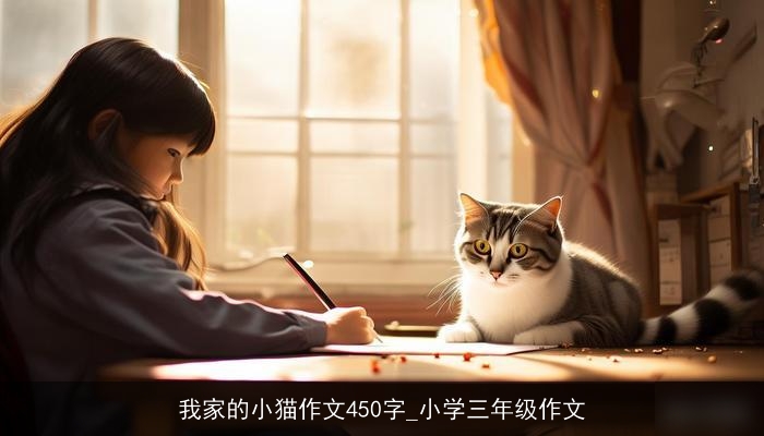 我家的小猫作文450字_小学三年级作文